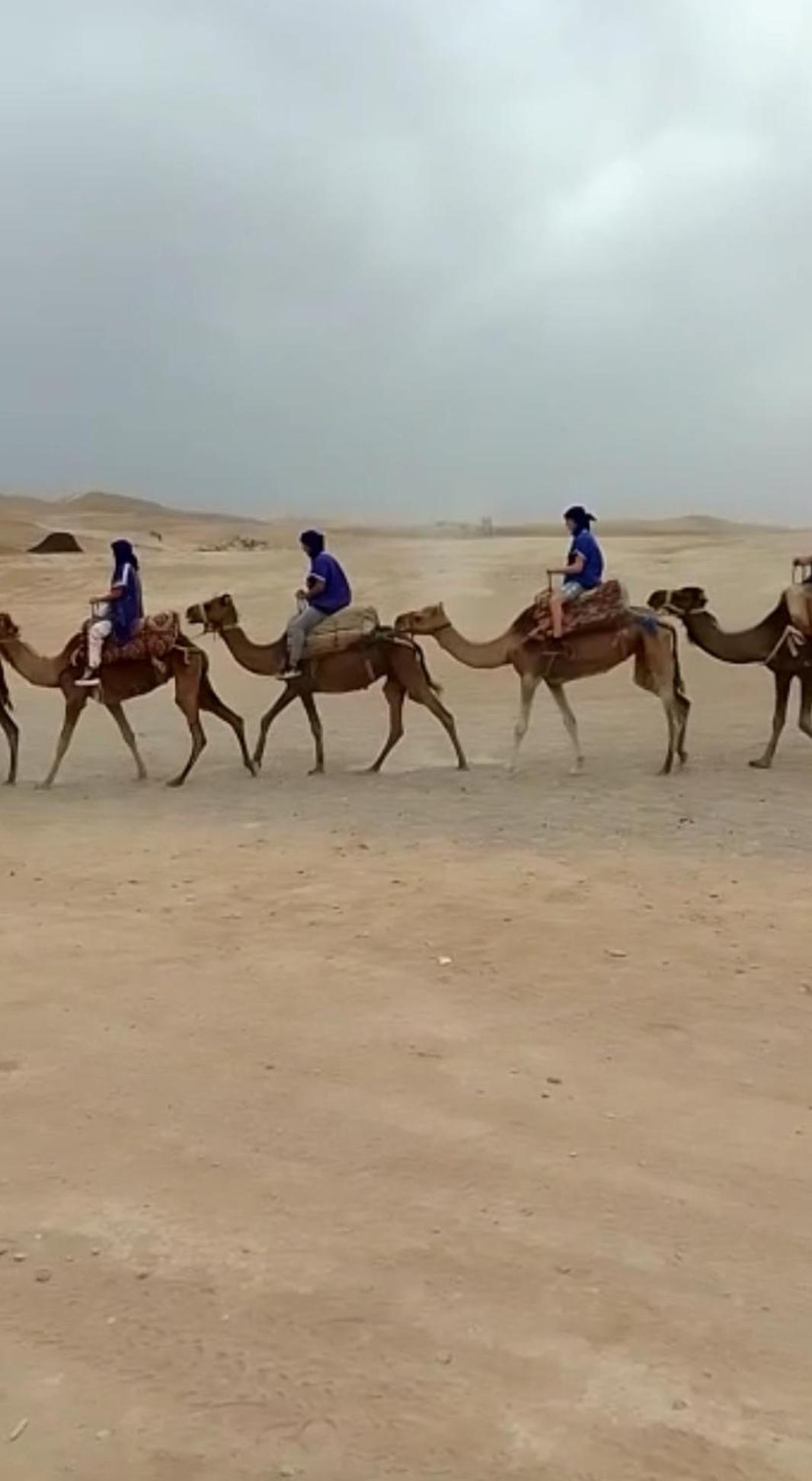 Riad Nezha Avec Jacuzzi Et 3 Piscines Au Coeur De Marakéš Exteriér fotografie